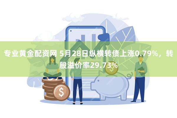 专业黄金配资网 5月28日纵横转债上涨0.79%，转股溢价率29.73%