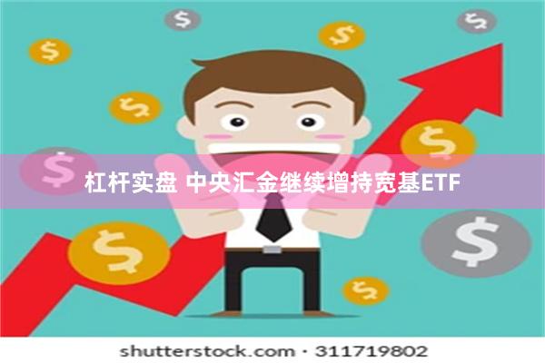 杠杆实盘 中央汇金继续增持宽基ETF