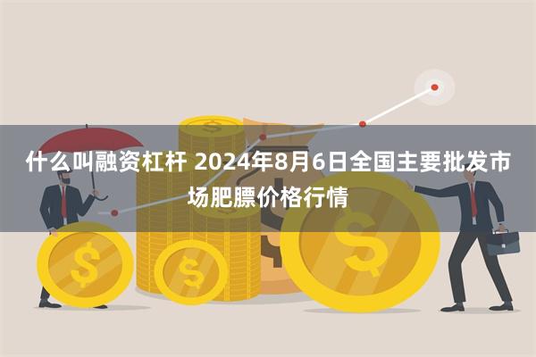 什么叫融资杠杆 2024年8月6日全国主要批发市场肥膘价格行情