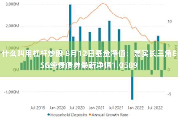 什么叫用杠杆炒股 8月12日基金净值：嘉实长三角ESG纯债债券最新净值1.0589