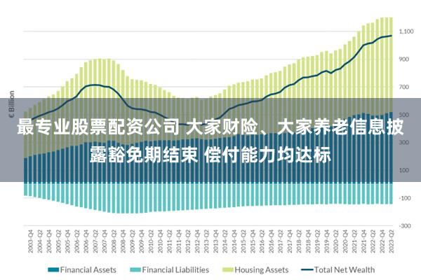 最专业股票配资公司 大家财险、大家养老信息披露豁免期结束 偿