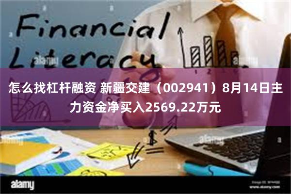 怎么找杠杆融资 新疆交建（002941）8月14日主力资金净