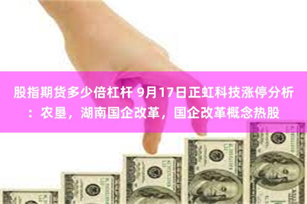 股指期货多少倍杠杆 9月17日正虹科技涨停分析：农垦，湖南国