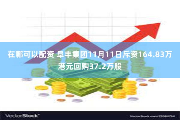 在哪可以配资 阜丰集团11月11日斥资164.83万港元回购