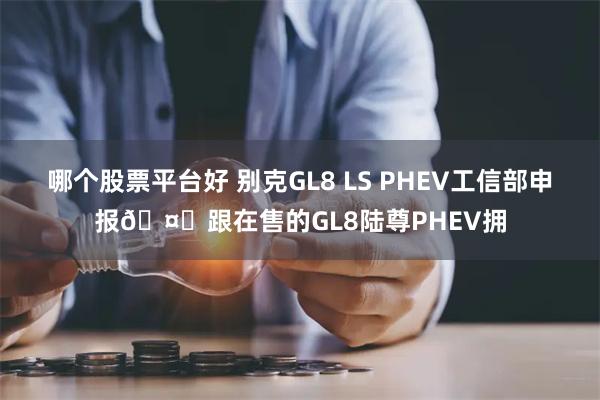 哪个股票平台好 别克GL8 LS PHEV工信部申报🤔跟在售的GL8陆尊PHEV拥