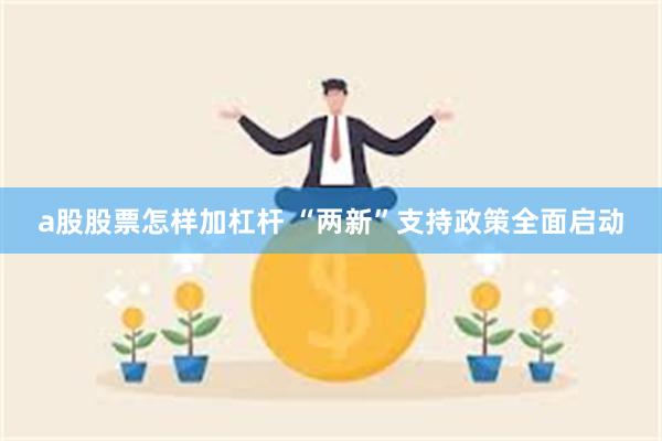 a股股票怎样加杠杆 “两新”支持政策全面启动