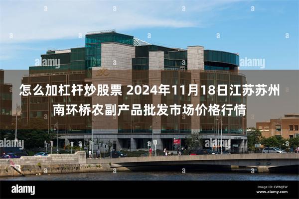 怎么加杠杆炒股票 2024年11月18日江苏苏州南环桥农副产