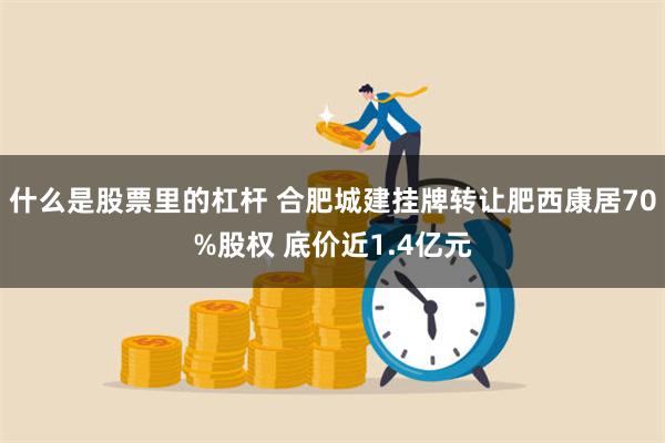 什么是股票里的杠杆 合肥城建挂牌转让肥西康居70%股权 底价