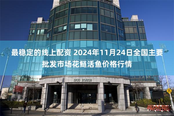 最稳定的线上配资 2024年11月24日全国主要批发市场花鲢