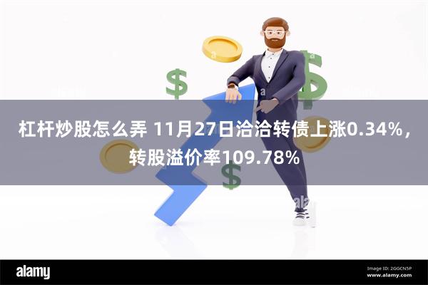 杠杆炒股怎么弄 11月27日洽洽转债上涨0.34%，转股溢价