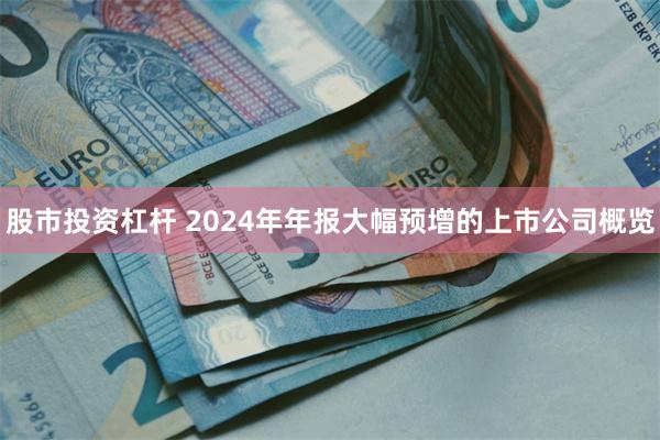 股市投资杠杆 2024年年报大幅预增的上市公司概览