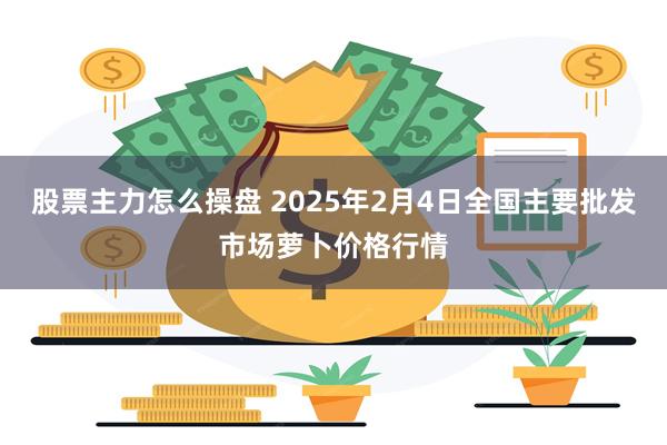 股票主力怎么操盘 2025年2月4日全国主要批发市场萝卜价格