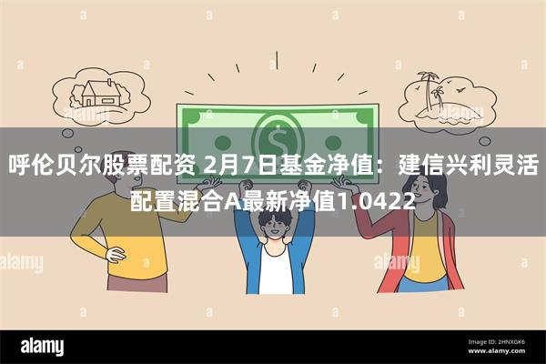 呼伦贝尔股票配资 2月7日基金净值：建信兴利灵活配置混合A最